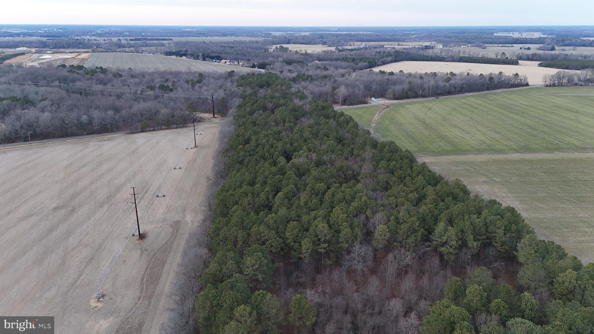 6749 Bobtown Road Hurlock, MD 21643 - Photo 6 of 20 a view of a outdoor space