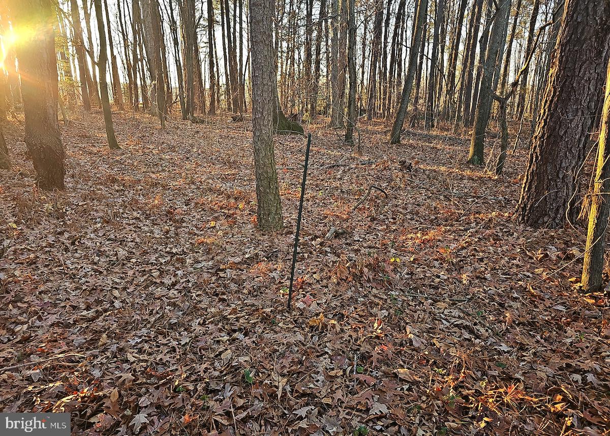 6749 Bobtown Road Hurlock, MD 21643 - Photo 10 of 20 a view of a pathway of a building