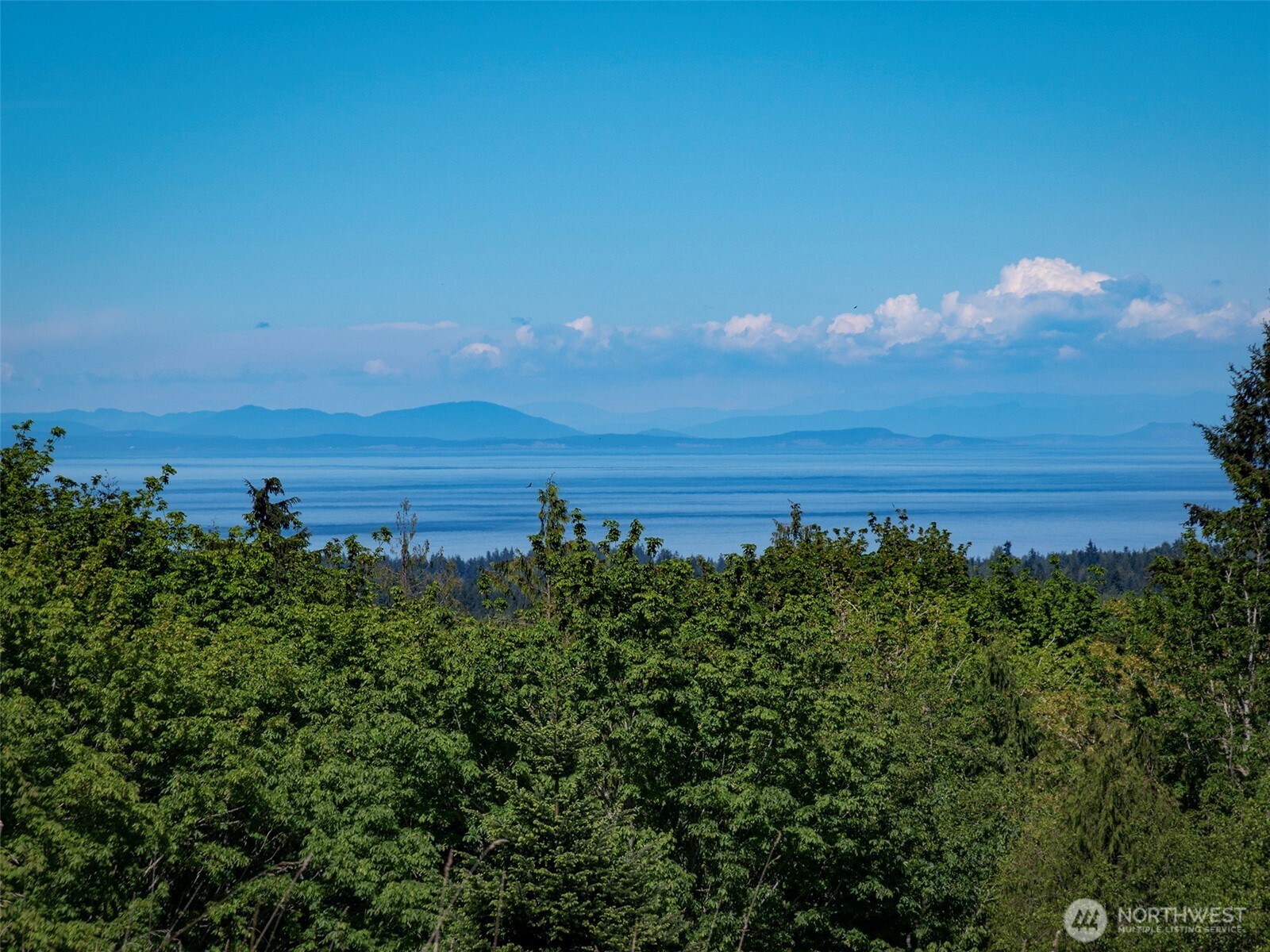 9999 Kruse Road Port Angeles, WA 98362 - Photo 29 of 39