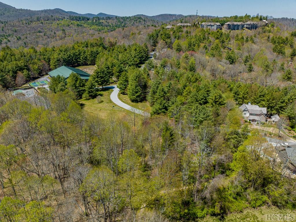 Lot 20 Trillium Ridge Road Sapphire, NC 28774 - Photo 4 of 17 Gallery Image 4