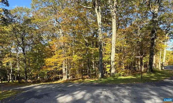 $39,000 | Tbd Winter Wren Lane, Roseland, VA 22967