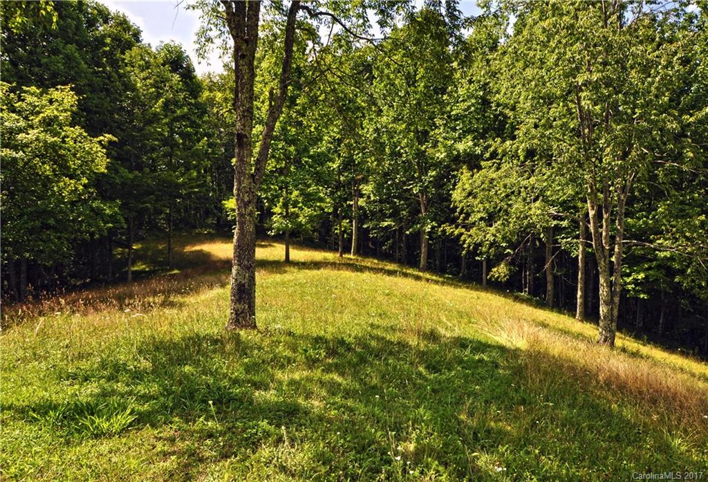 0 Howard Moore Road Hot Springs, NC 28743 - Photo 1 of 11 Gallery Image 1
