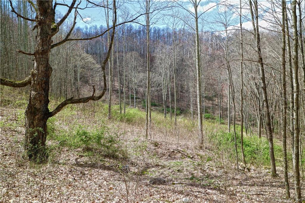 0 Howard Moore Road Hot Springs, NC 28743 - Photo 11 of 11 Gallery Image 11