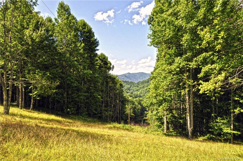 0 Howard Moore Road Hot Springs, NC 28743 - Photo 3 of 11 Gallery Image 3