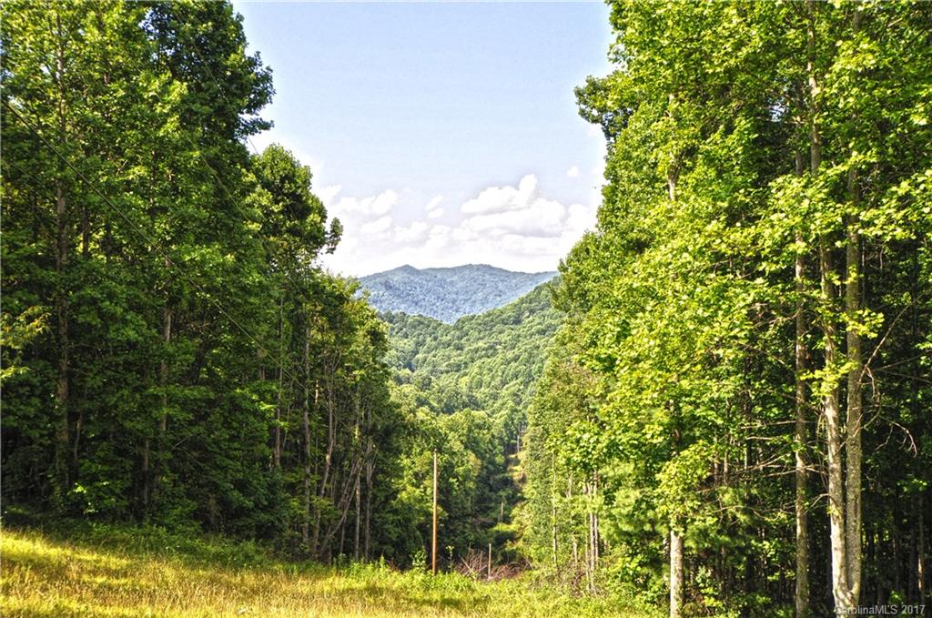 0 Howard Moore Road Hot Springs, NC 28743 - Photo 4 of 11 Gallery Image 4
