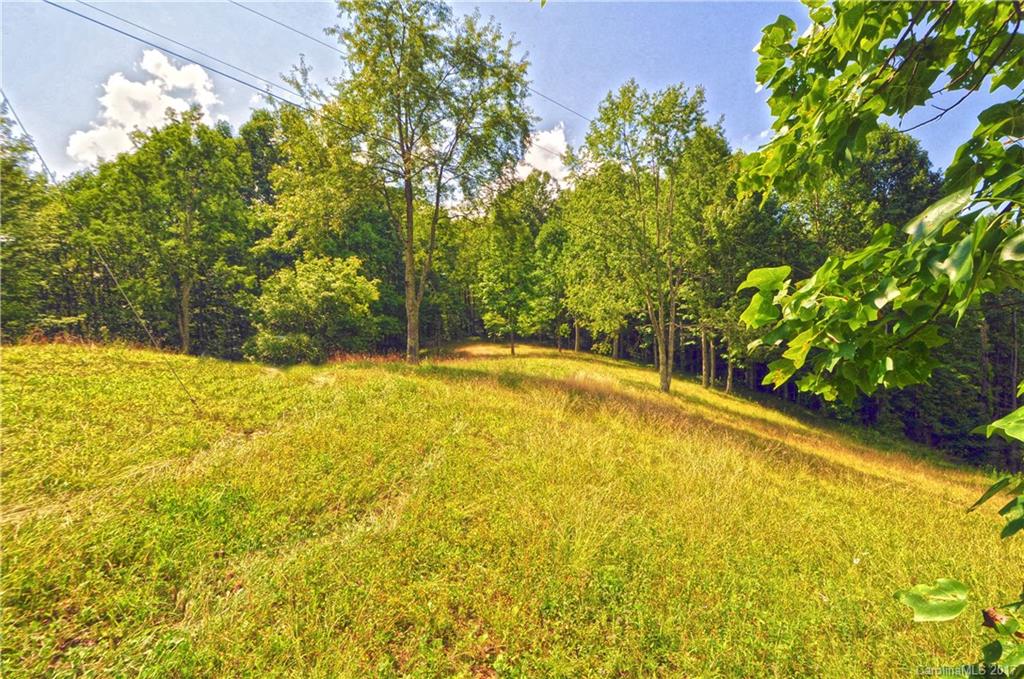 0 Howard Moore Road Hot Springs, NC 28743 - Photo 5 of 11 Gallery Image 5