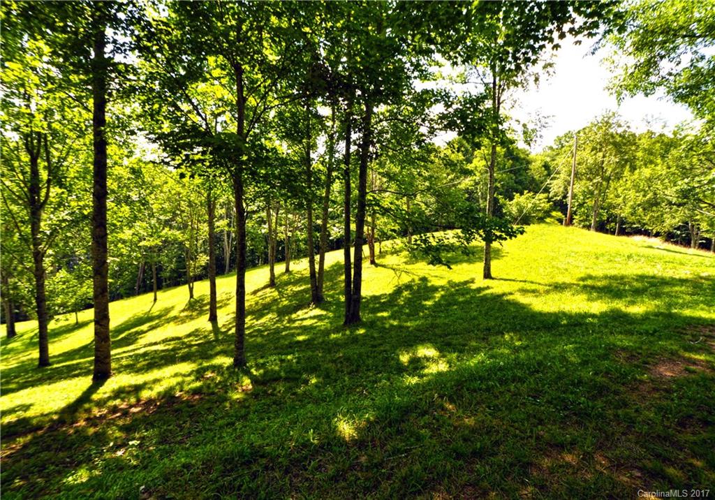 0 Howard Moore Road Hot Springs, NC 28743 - Photo 6 of 11 Gallery Image 6