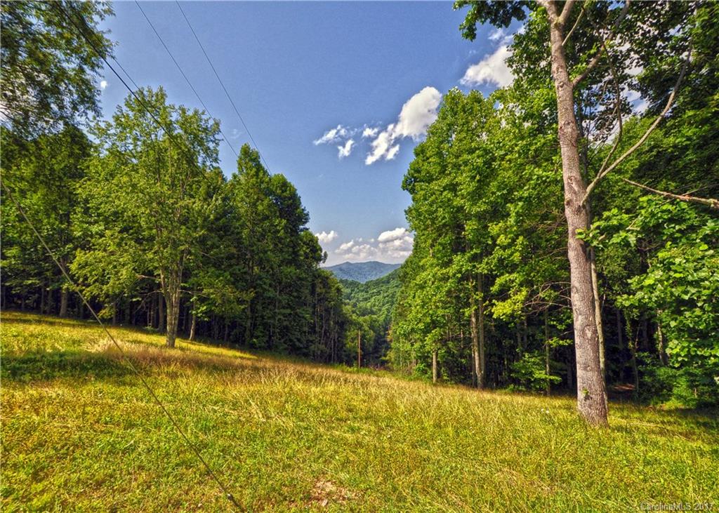 0 Howard Moore Road Hot Springs, NC 28743 - Photo 7 of 11 Gallery Image 7