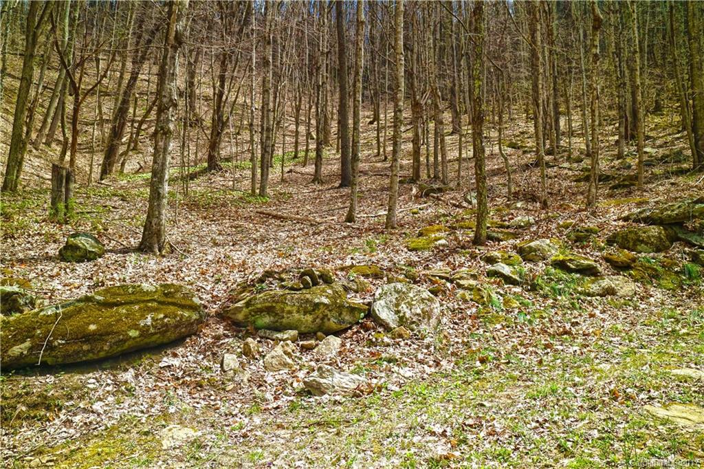 0 Howard Moore Road Hot Springs, NC 28743 - Photo 10 of 11 Gallery Image 10