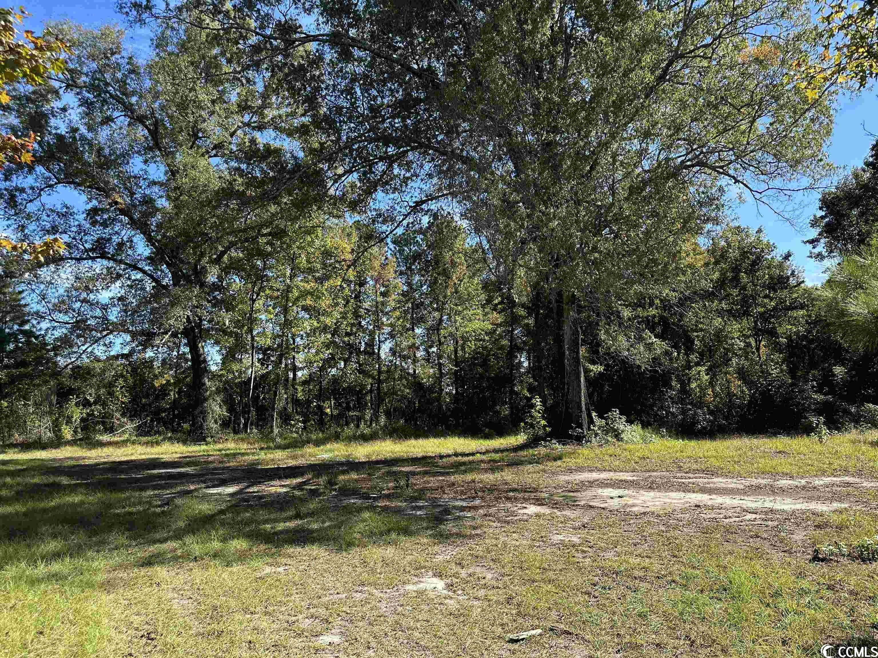 Tbd Santee Road Lane, SC 29564 - Photo 5 of 32 Gallery Image 5
