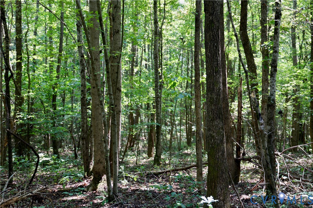 0 Bellevue Road Halifax, VA 24558 - Photo 8 of 12 Gallery Image 8