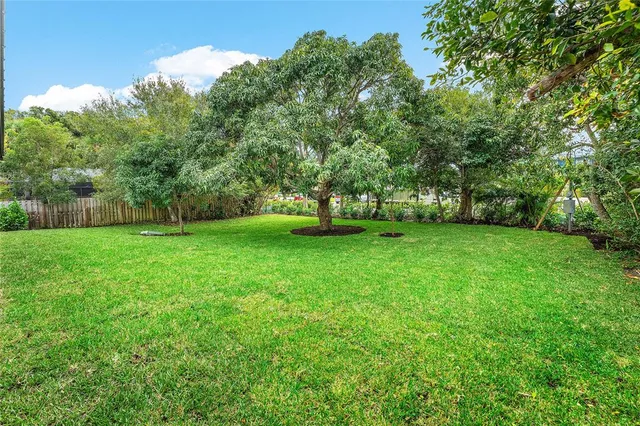 a view of a park with large trees