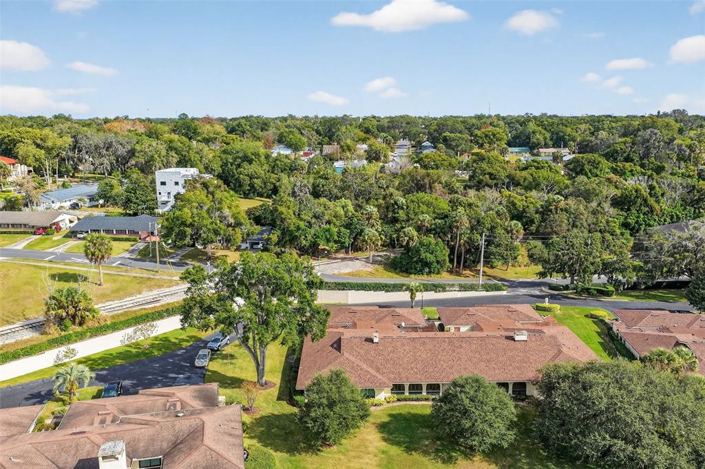 100 South Tremain Street, Unit F1 Mount Dora, FL 32757 - Photo 29 of 47 a view of a city with tall buildings