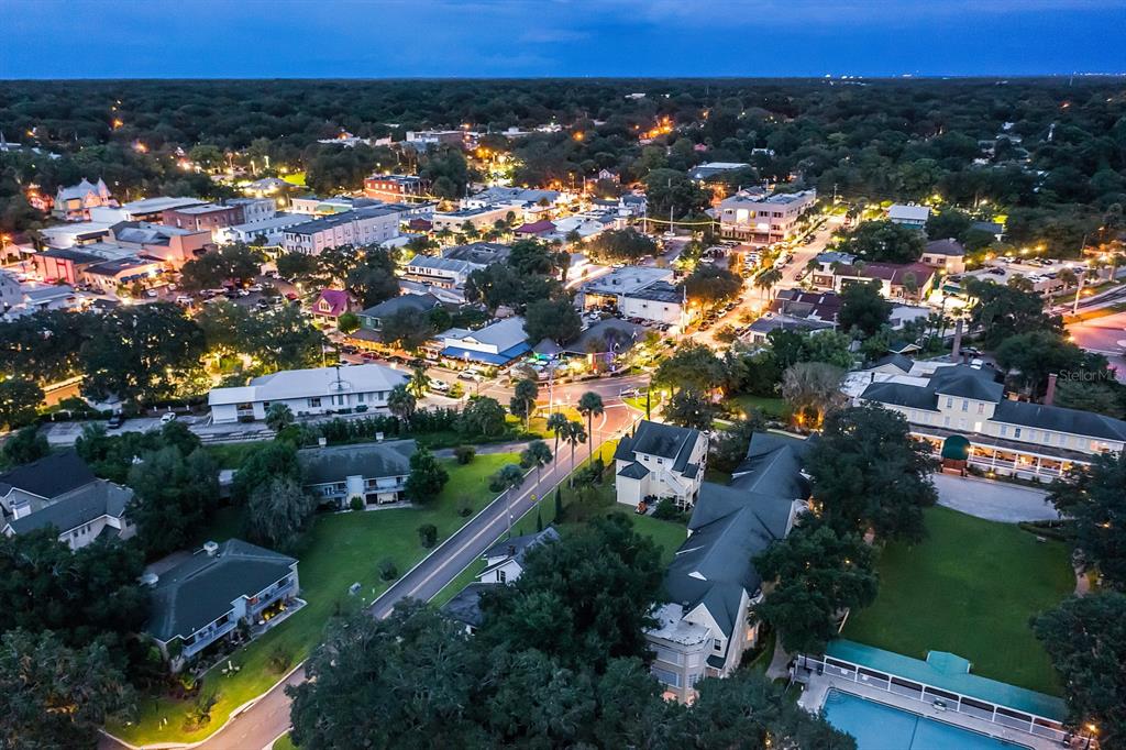 100 South Tremain Street, Unit F1 Mount Dora, FL 32757 - Photo 44 of 47 an aerial view of multiple house