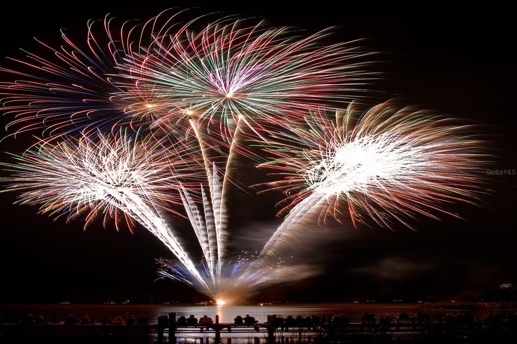 100 South Tremain Street, Unit F1 Mount Dora, FL 32757 - Photo 47 of 47