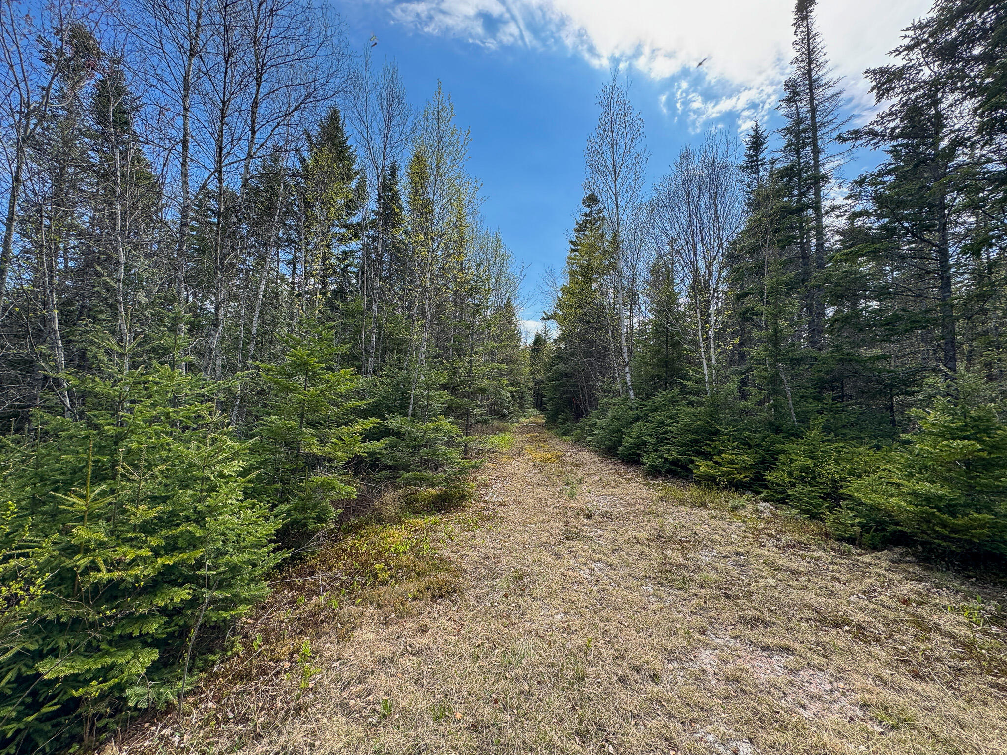 M2-l3-m6l16 Campbell Road Whiting, ME 04691 - Photo 20 of 27 21