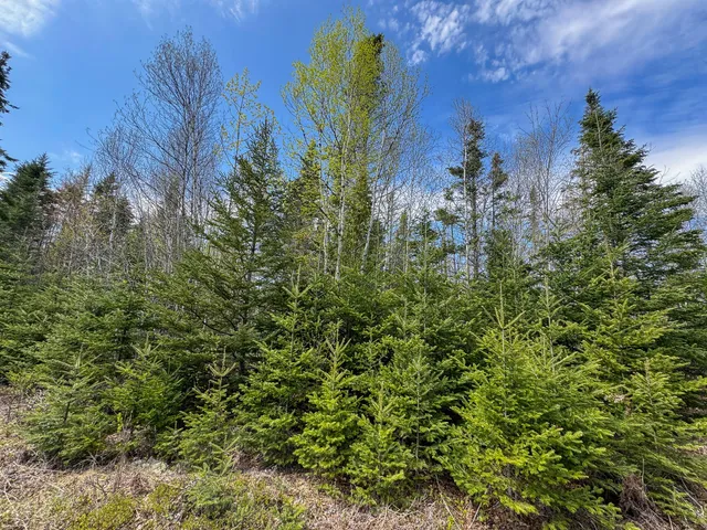 $300,000 | M2-l3-m6l16 Campbell Road, Whiting, ME 04691