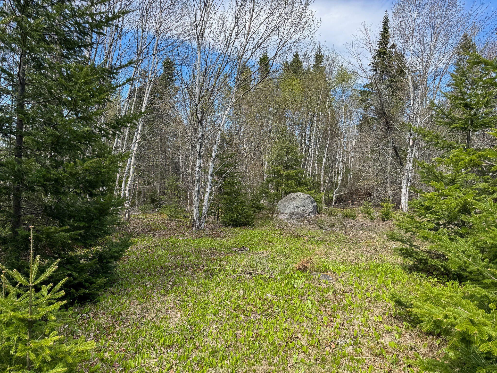 M2-l3-m6l16 Campbell Road Whiting, ME 04691 - Photo 22 of 27 23