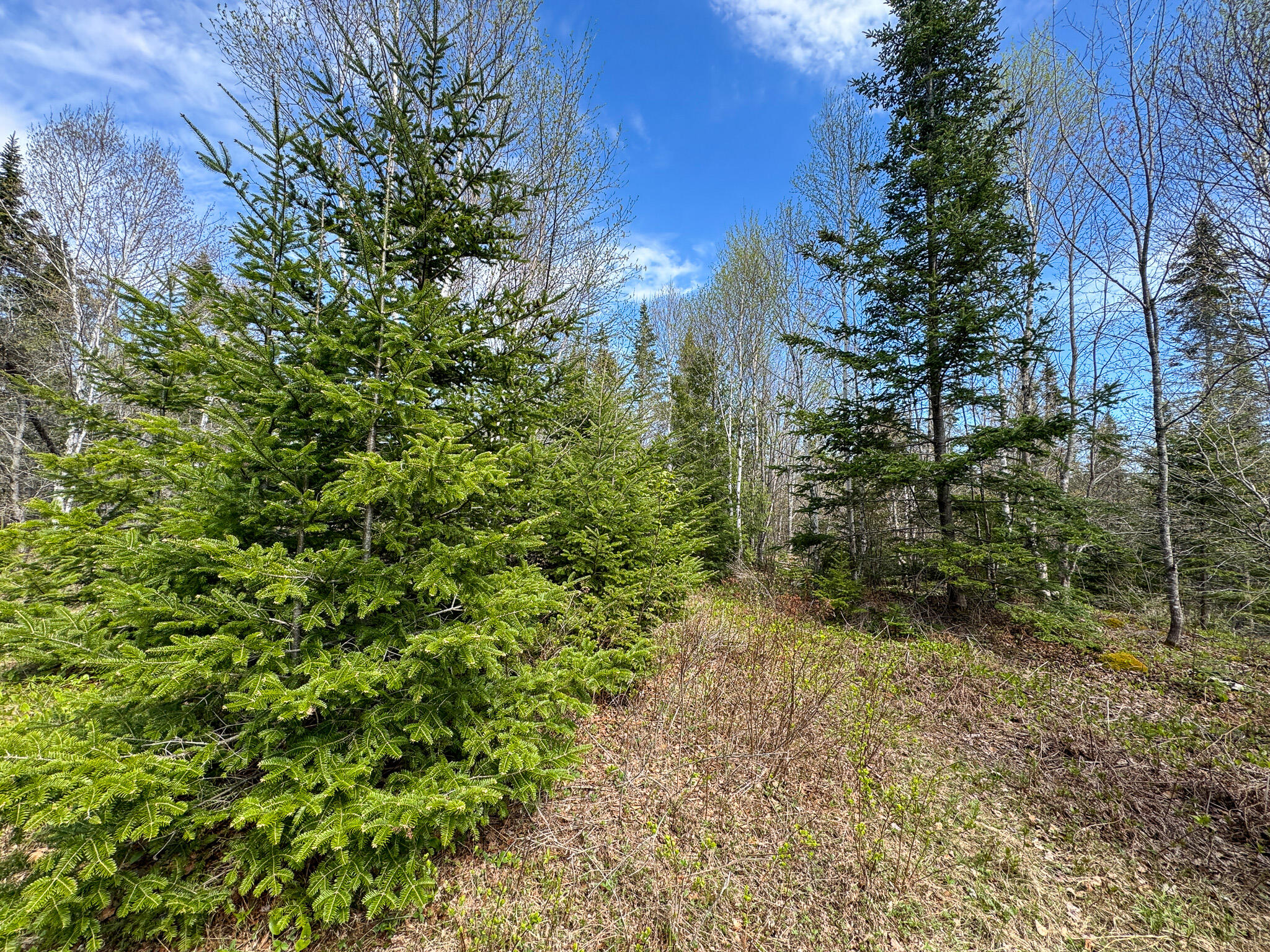 M2-l3-m6l16 Campbell Road Whiting, ME 04691 - Photo 23 of 27 24