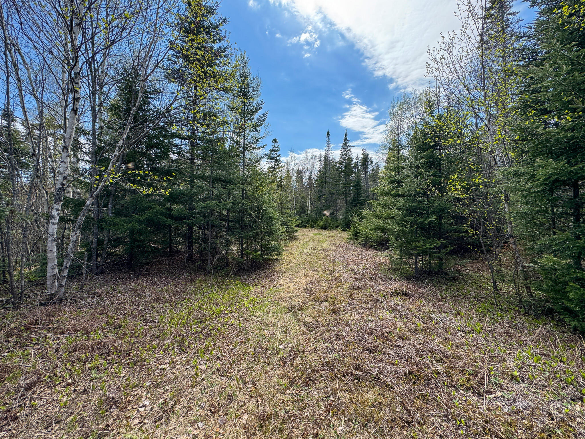 M2-l3-m6l16 Campbell Road Whiting, ME 04691 - Photo 24 of 27 25