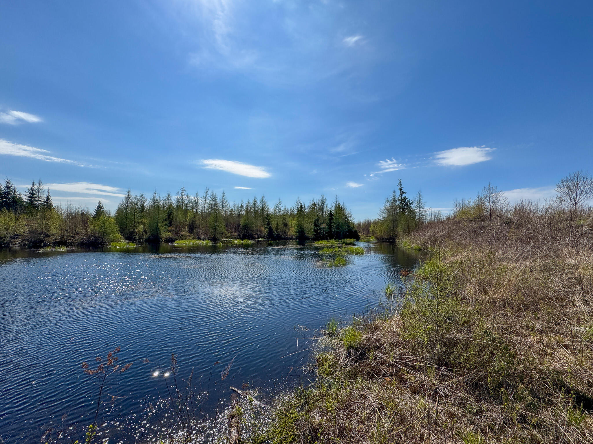 M2-l3-m6l16 Campbell Road Whiting, ME 04691 - Photo 26 of 27 27