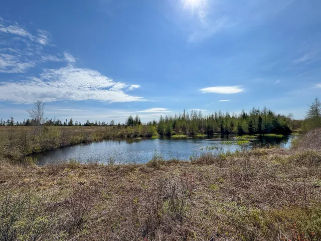 $300,000 | M2-l3-m6l16 Campbell Road, Whiting, ME 04691