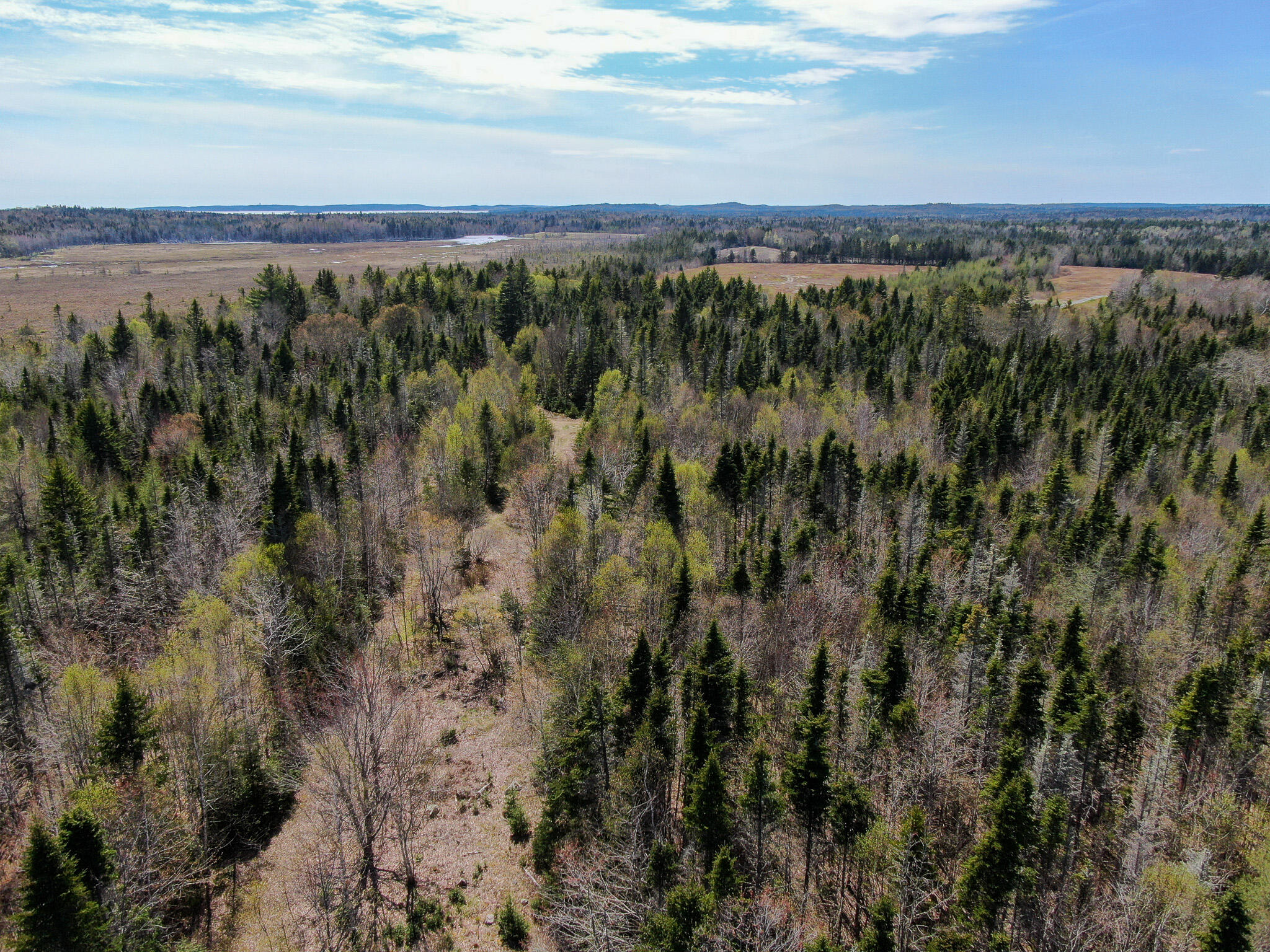 M2-l3-m6l16 Campbell Road Whiting, ME 04691 - Photo 7 of 27 8