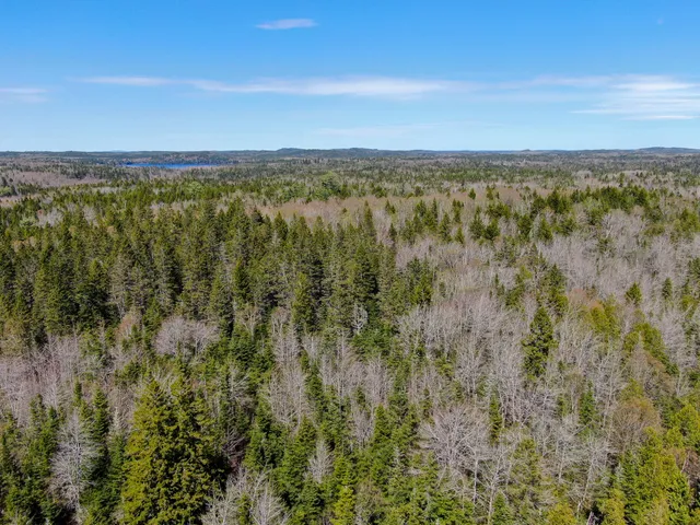 $300,000 | M2-l3-m6l16 Campbell Road, Whiting, ME 04691