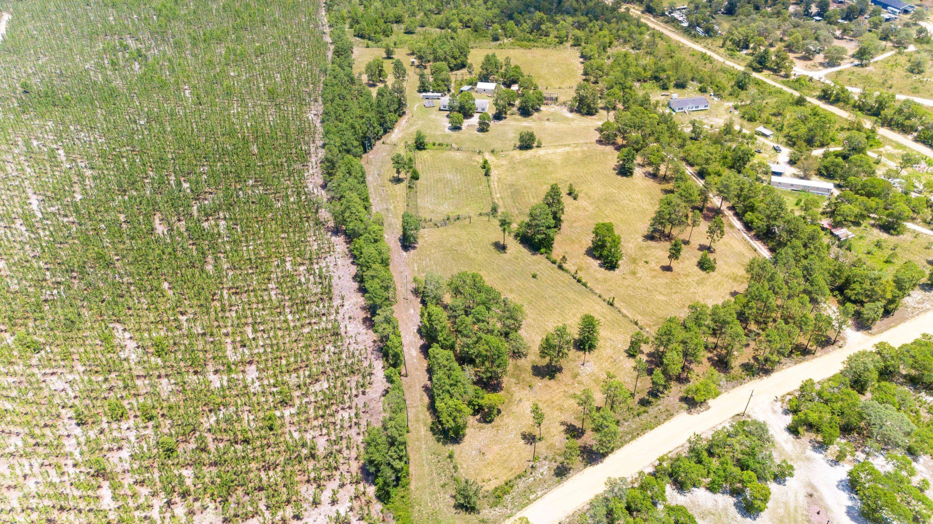 798 Big Branch Road Wagener, SC 29164 - Photo 36 of 63