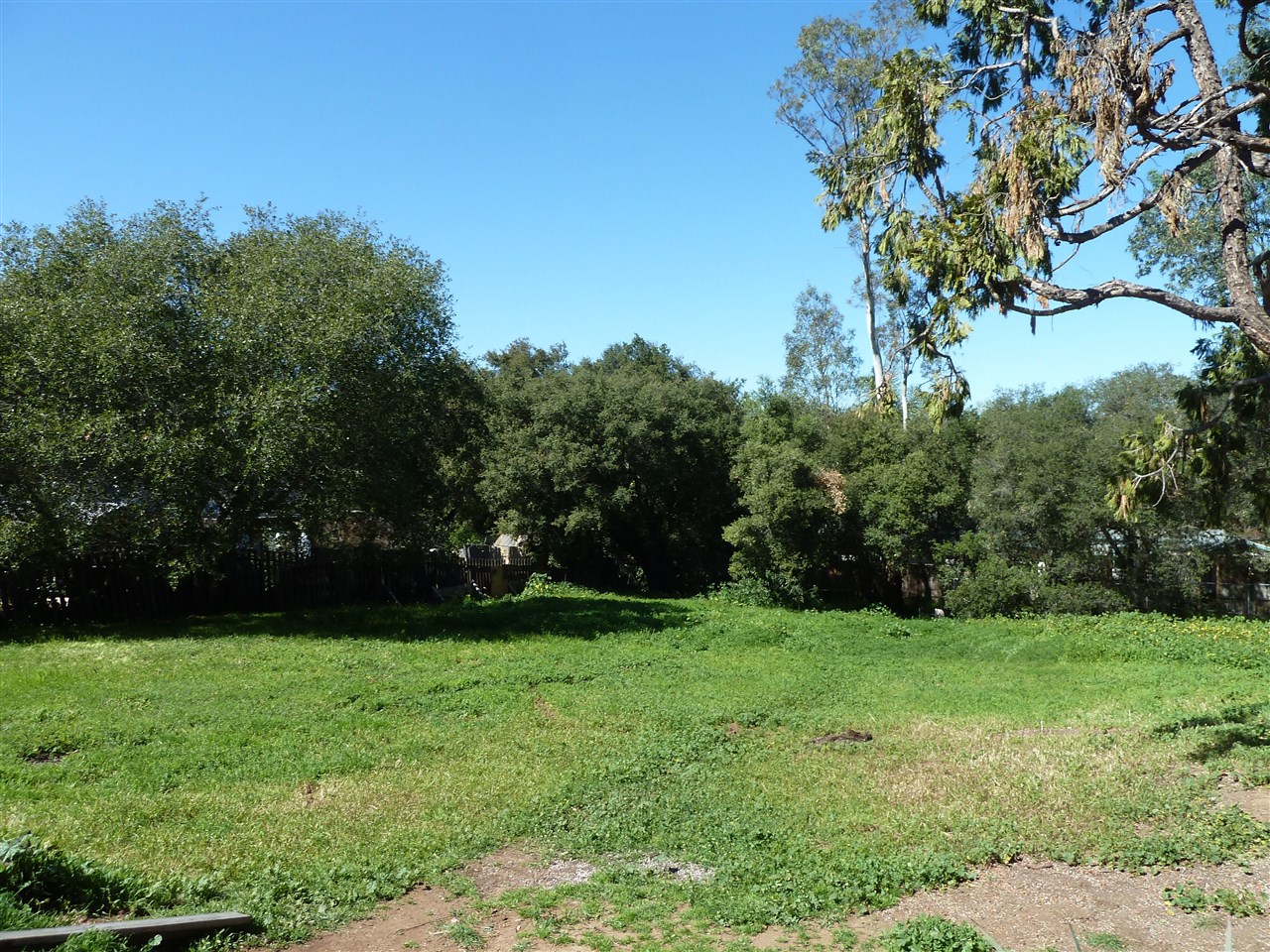1550 East Mission Road Fallbrook, CA 92028 - Photo 10 of 21 Back Yard with creek that runs thru end of property.