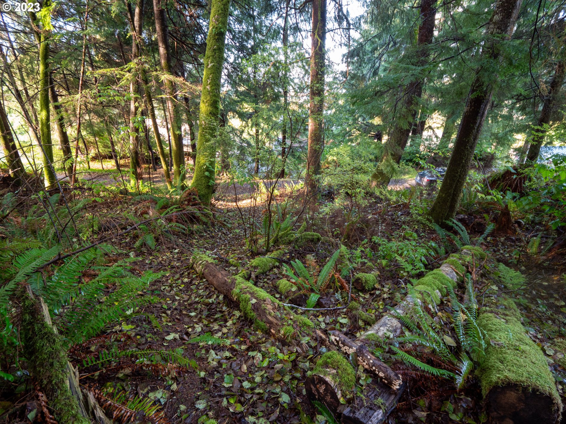 400 4th Street Wheeler, OR 97147 - Photo 5 of 14 Gallery Image 5