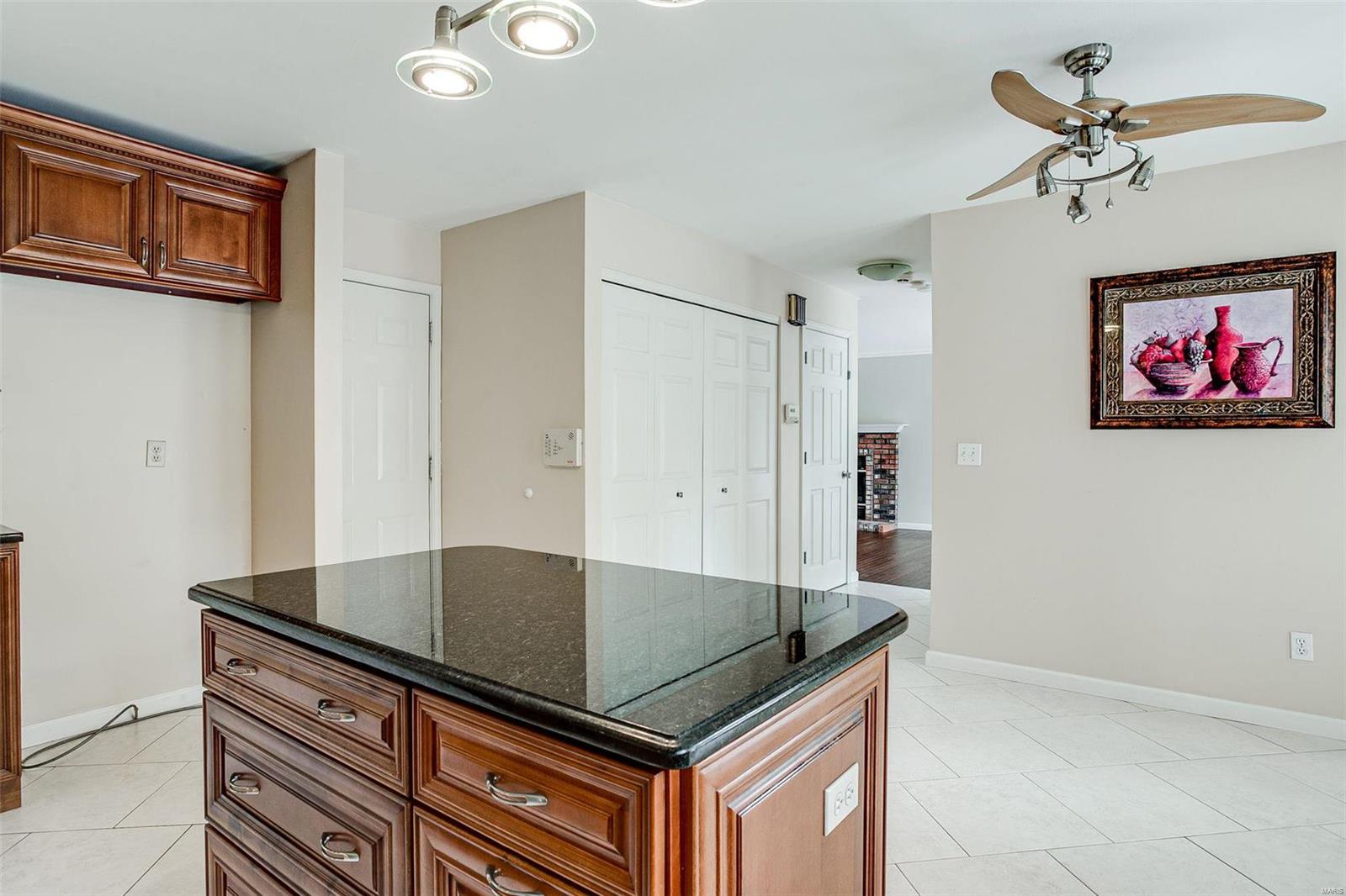 1513 Berry Leaf Court Ballwin, MO 63021 - Photo 14 of 57 Gallery Image 14