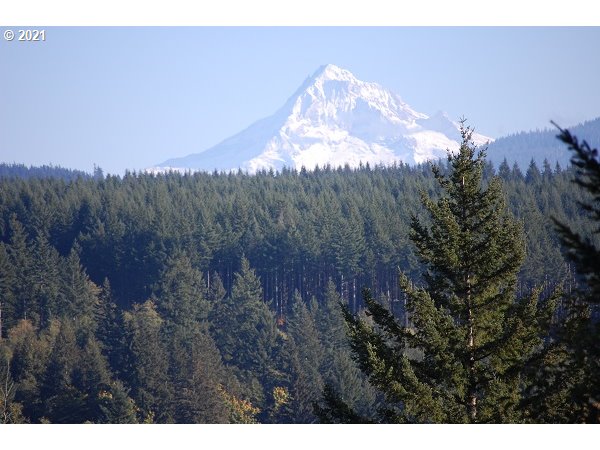 512 Mathews Road Washougal, WA 98671 - Photo 2 of 18 Gallery Image 2
