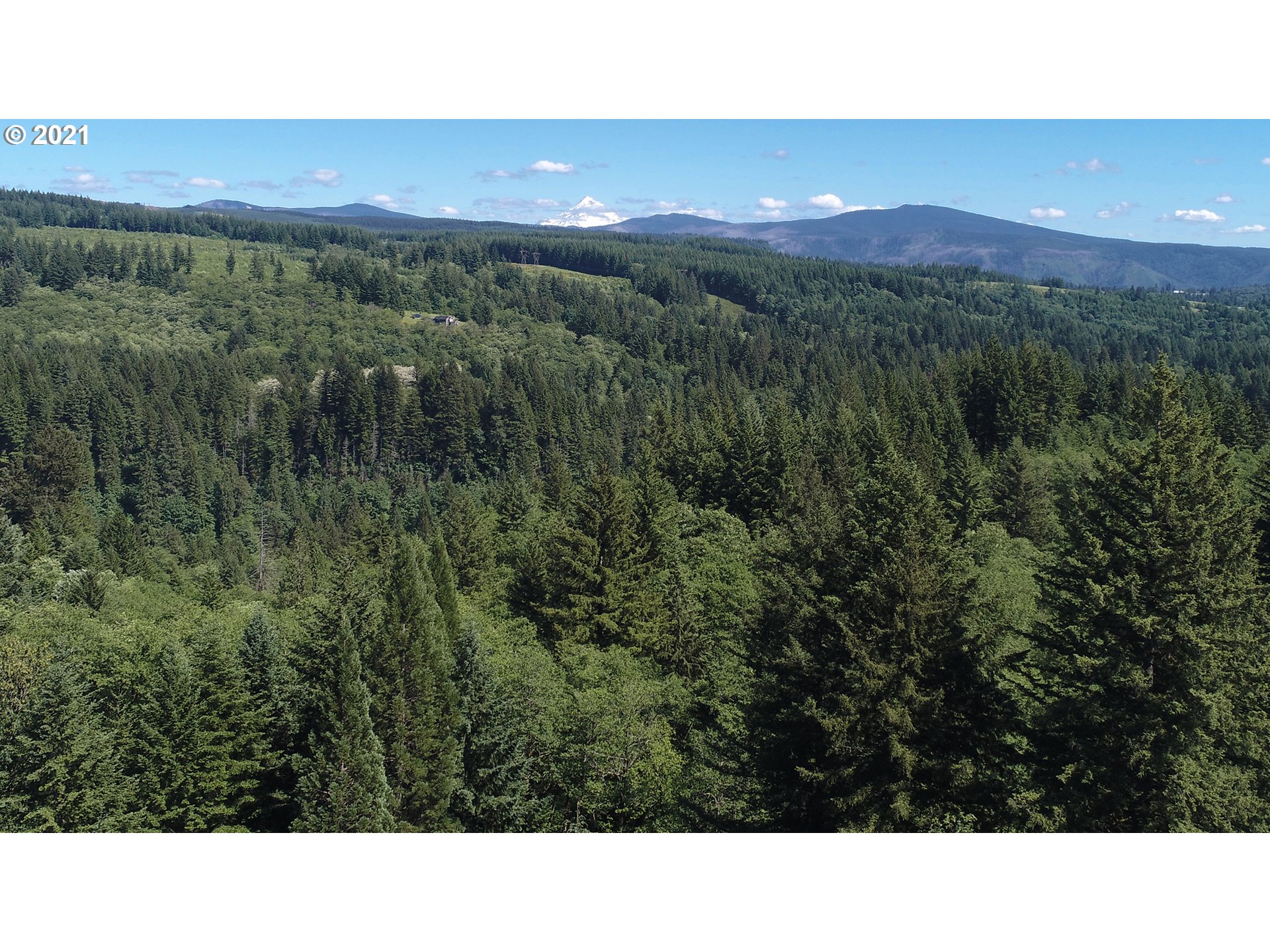 512 Mathews Road Washougal, WA 98671 - Photo 14 of 18 Gallery Image 14