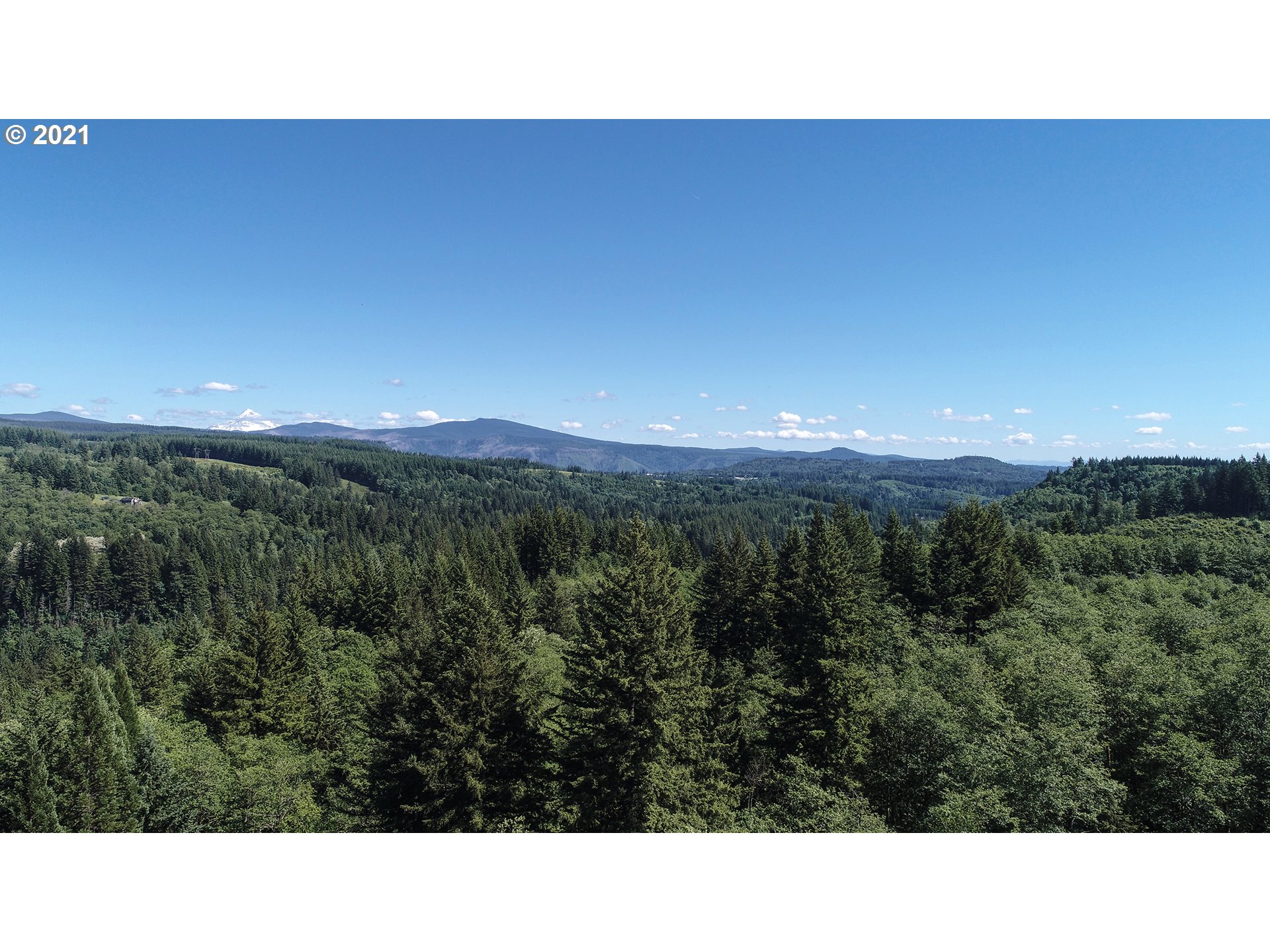 512 Mathews Road Washougal, WA 98671 - Photo 15 of 18 Gallery Image 15
