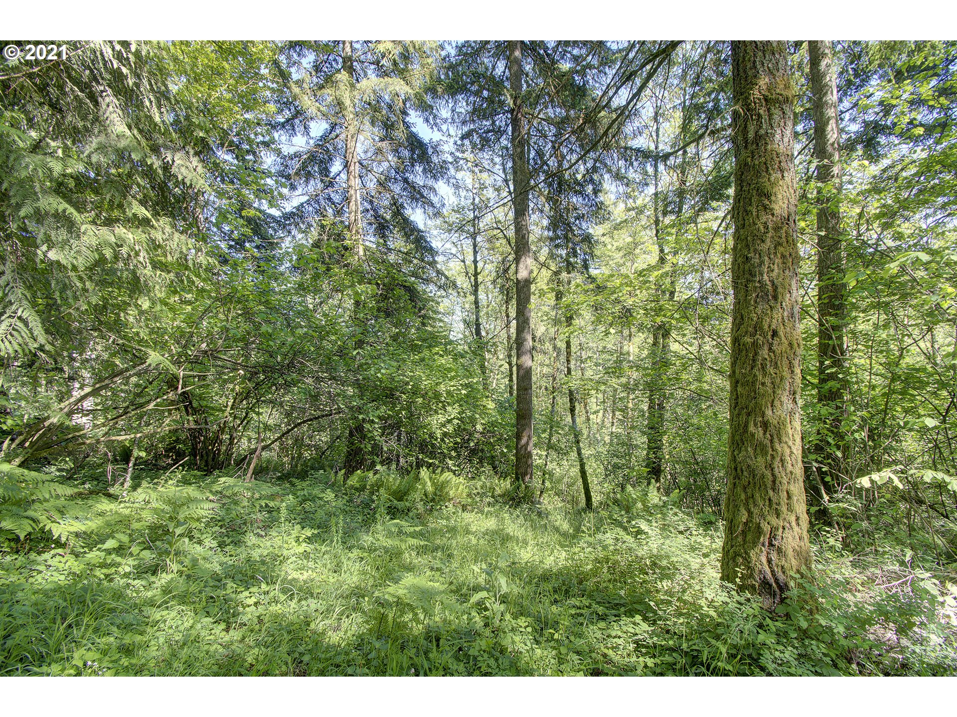 512 Mathews Road Washougal, WA 98671 - Photo 16 of 18 Gallery Image 16