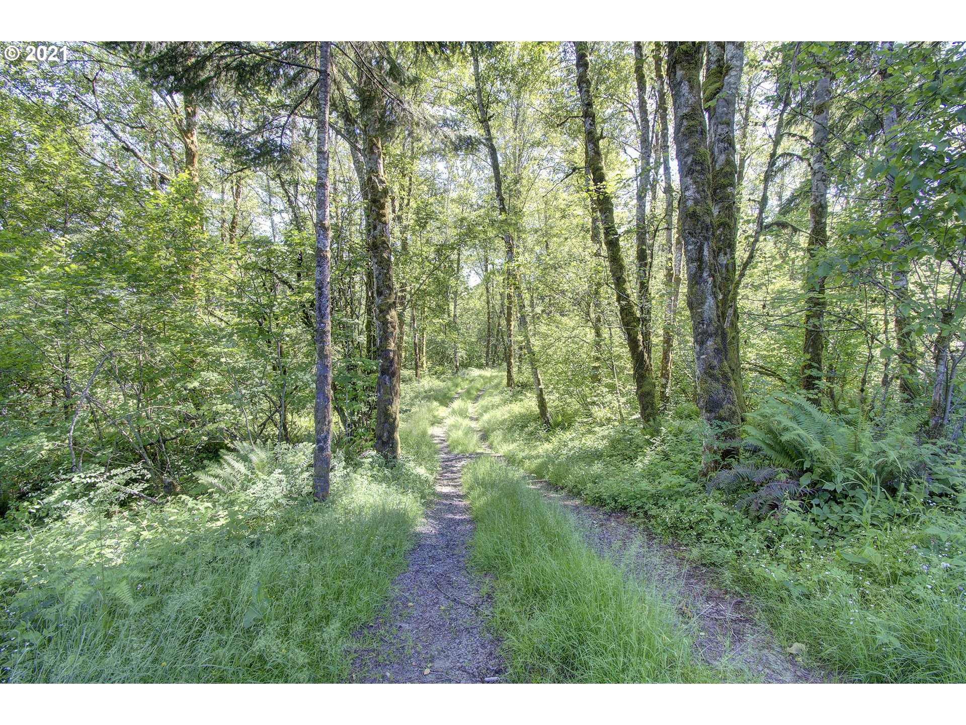 512 Mathews Road Washougal, WA 98671 - Photo 7 of 18 Gallery Image 7