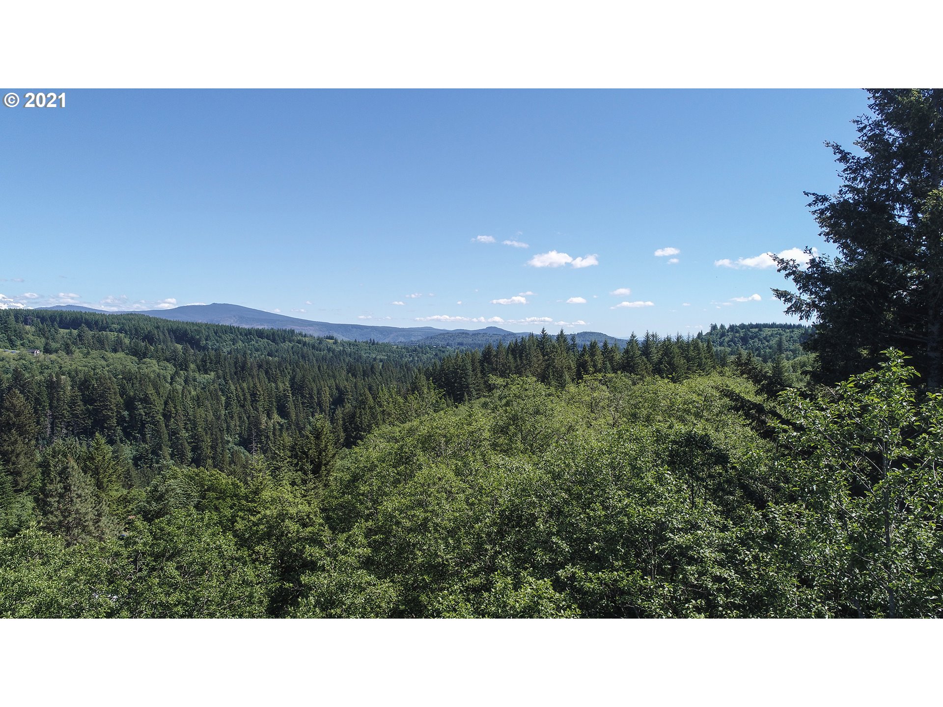 512 Mathews Road Washougal, WA 98671 - Photo 8 of 18 Gallery Image 8