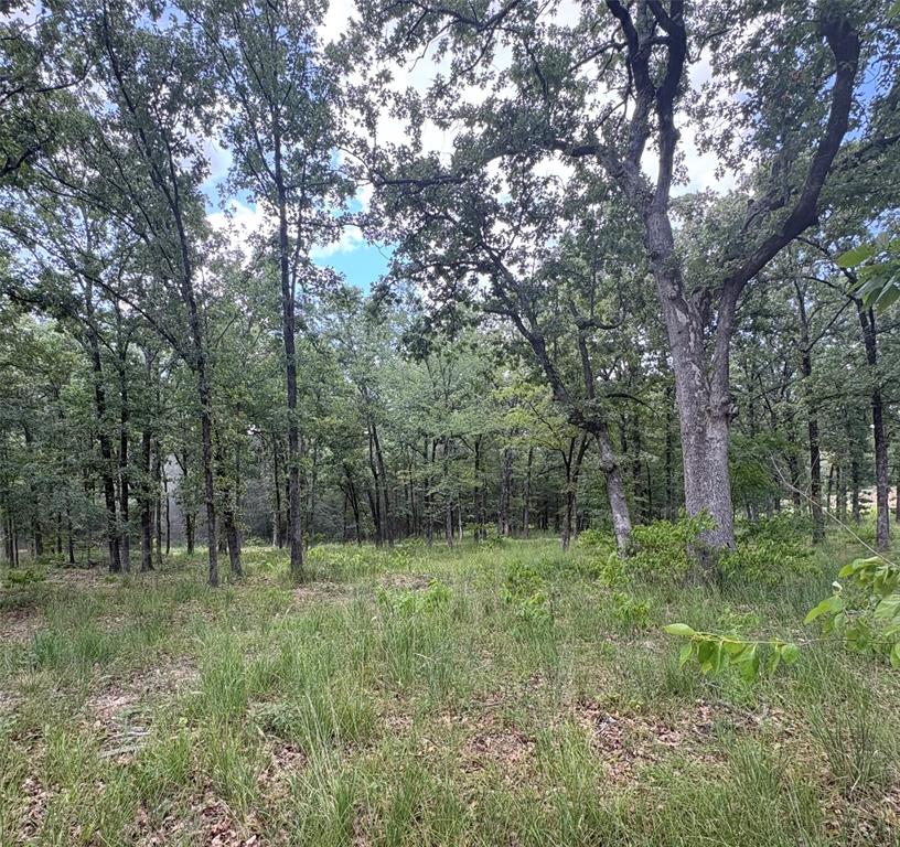 5948 Rd Yantis Tx 75765 Road, Unit 23 Yantis, TX 75497 - Photo 4 of 11