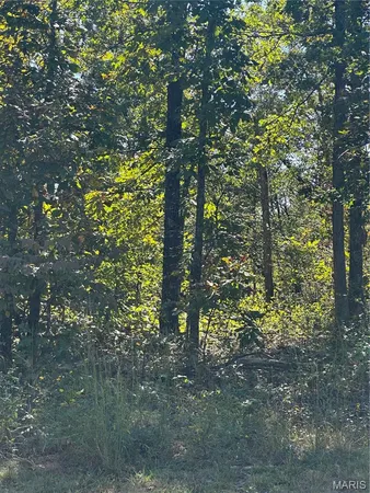 $120,000 | 0 142e-24b, Doniphan, MO 63935