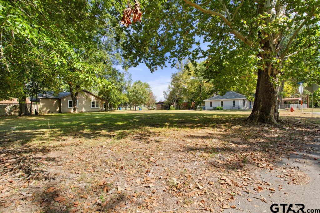 111 Mallory Street Lindale, TX 75771 - Photo 4 of 7 a view of a yard with plants and trees