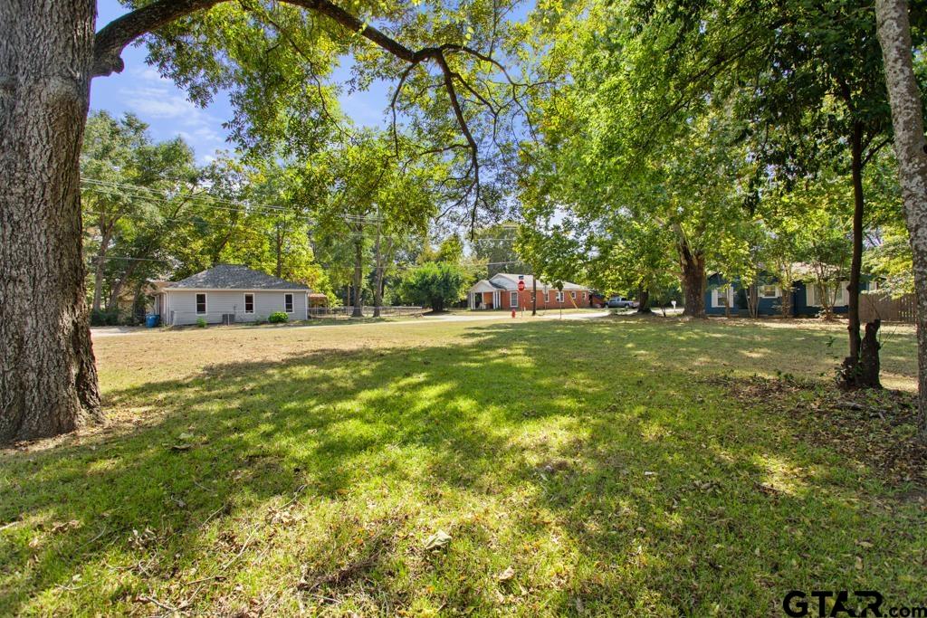 111 Mallory Street Lindale, TX 75771 - Photo 5 of 7 a view of a tree in a yard