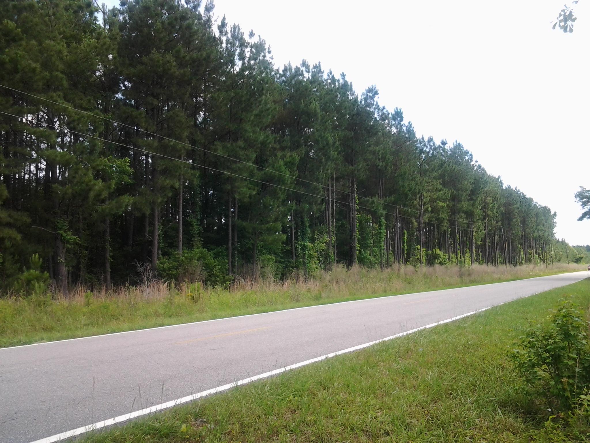 5 Short Cut Road Dorchester, SC 29437 - Photo 1 of 1 20150515_110502