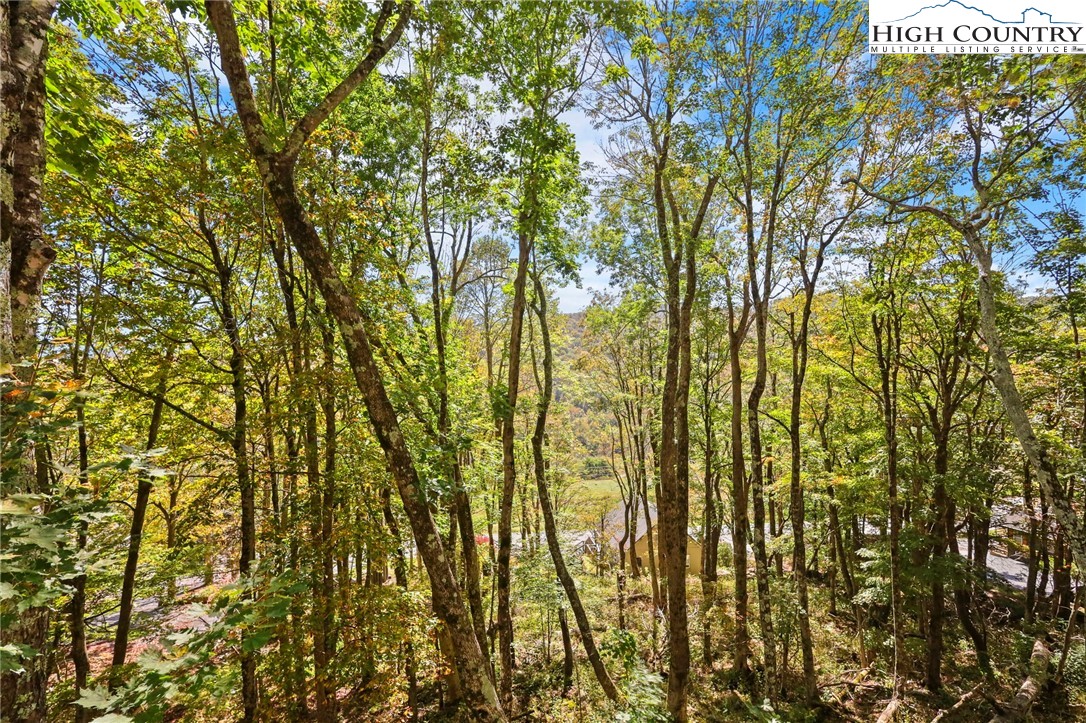 202 Cliffside Lane Seven Devils, NC 28604 - Photo 43 of 46