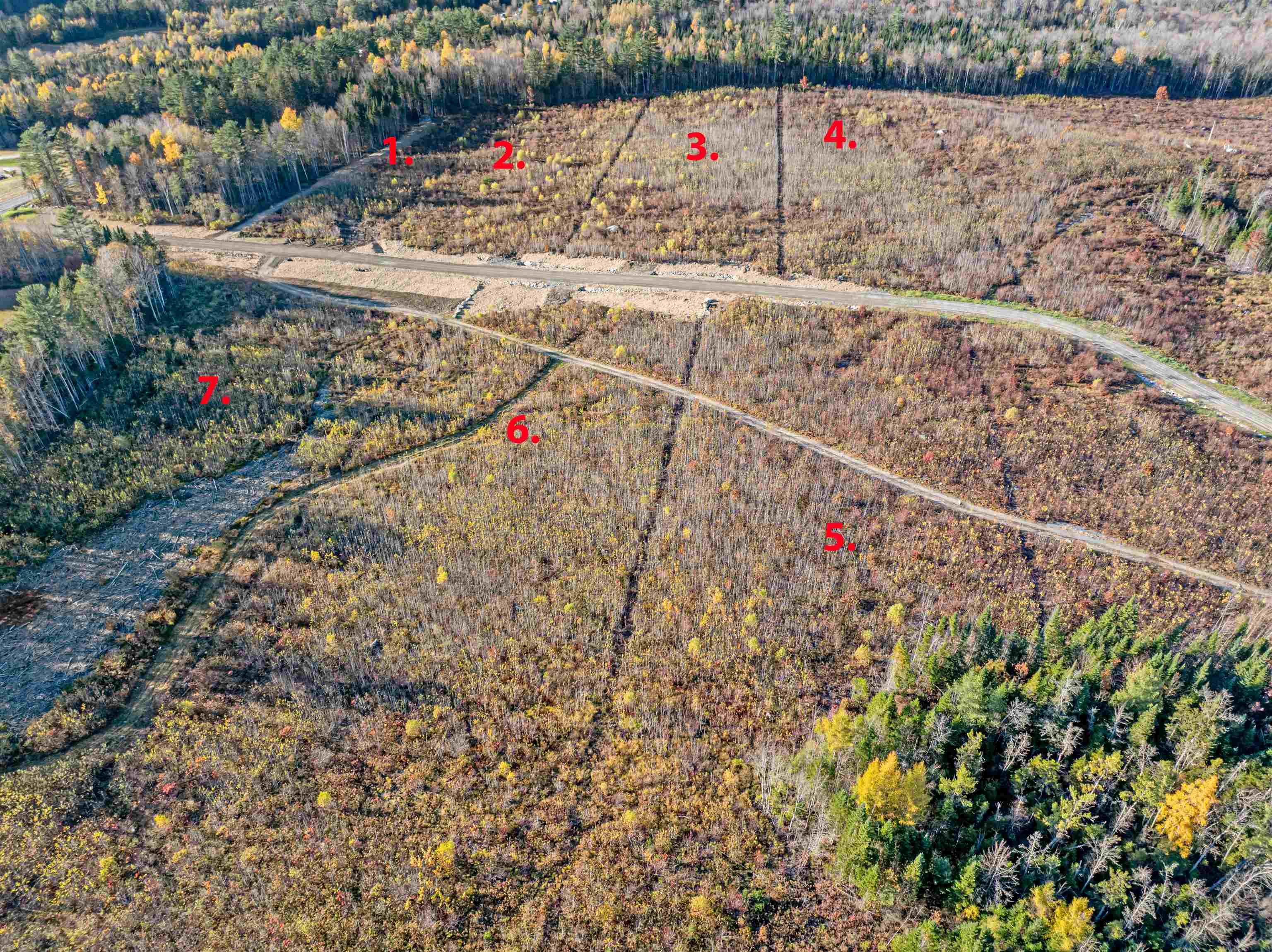 Lot 1 Mcintyre Road Dalton, NH 03598 - Photo 2 of 3