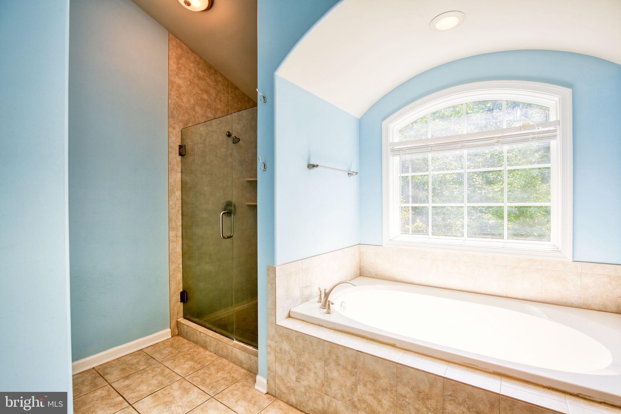 68 MacGregor Ridge Road Stafford, VA 22554 - Photo 23 of 42 Shower and Soaking Tub