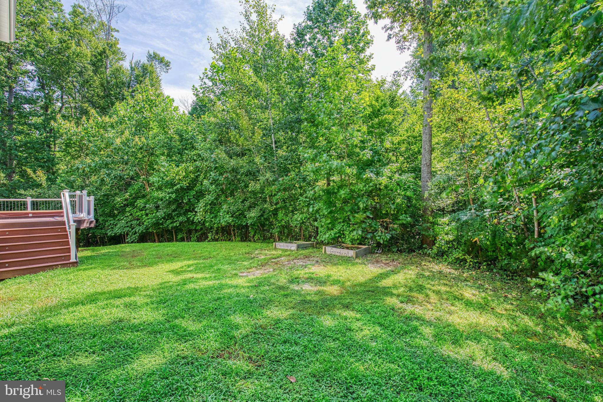 68 MacGregor Ridge Road Stafford, VA 22554 - Photo 41 of 42 Huge yard for playing and entertaining