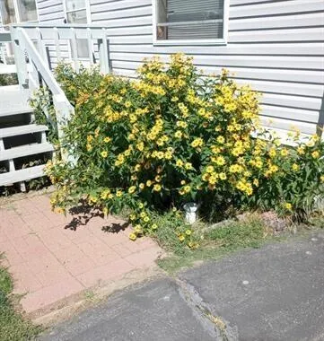 $365,000 | 975 North Main Street, Buffalo, WY 82834