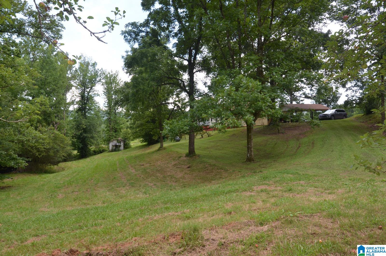 12691 Highway 46 Heflin, AL 36264 - Photo 19 of 63
