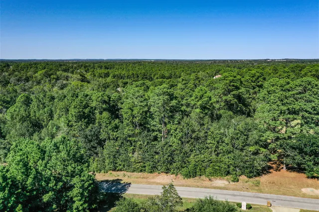a view of a field of grass and trees